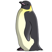 エンペラーペンギン