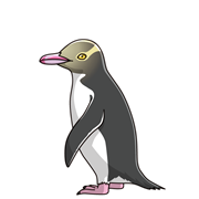 キガシラペンギン