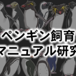 ペンギン飼育マニュアル研究について