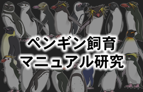 ペンギン飼育マニュアル研究