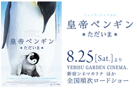 映画「皇帝ペンギン ただいま」トークイベント