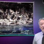ペンギン大学 すみだ水族館の挑戦