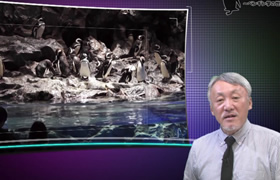 すみだ水族館の挑戦