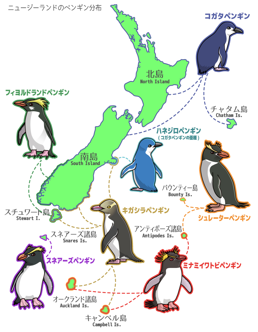 野生ペンギン探し旅 In Nz 2 ペンギン分布 ペンギン大学