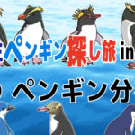野生ペンギン探し旅 in NZ(2)ペンギン分布