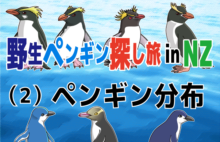 野生ペンギン探し旅 In Nz 2 ペンギン分布 ペンギン大学