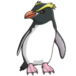 お世話になっておりますNHK自然班のディレクター 小山靖弘 様から「ペンギン番組」のご案内をいただきました‼️