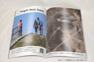 6/25-26マゼフェス初出店！ 野生マゼランペンギン写真集製作＆販売
