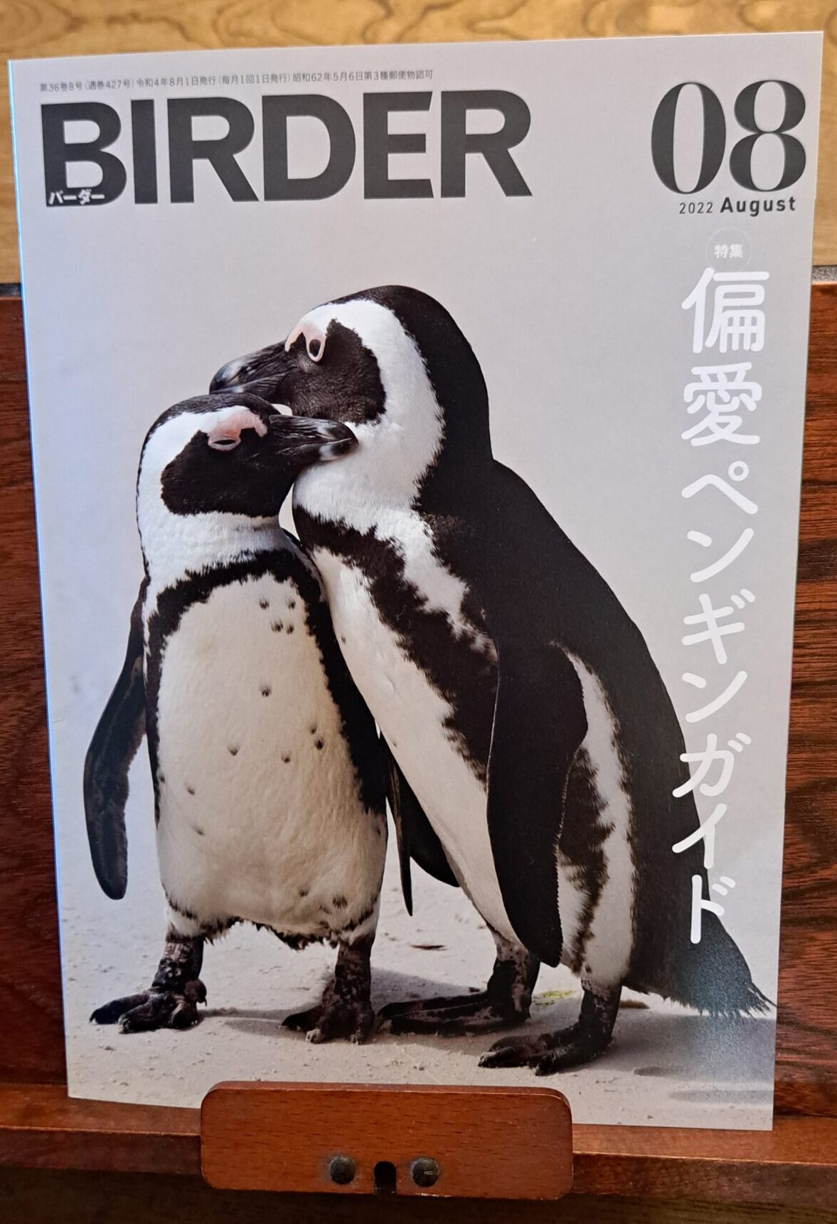 本日特価】 ペンギン様専用 asakusa.sub.jp