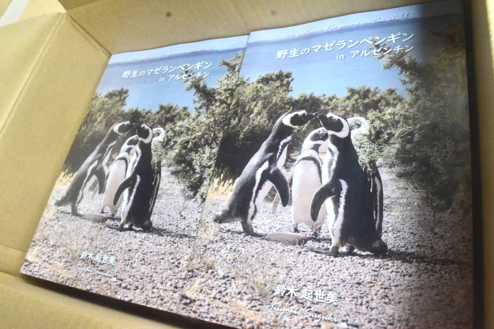 上田学長からの感想頂きました マゼランペンギン写真集 ペンギン大学