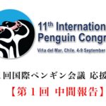 【第11回国際ペンギン会議 応援募金】第1回中間報告