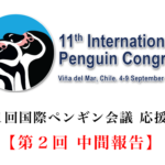 【第11回国際ペンギン会議応援募金】第2回中間報告