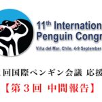 【第11回国際ペンギン会議応援募金】第3回中間報告