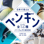 6月8日 グラフィック社から新しいペンギン本を出版‼️