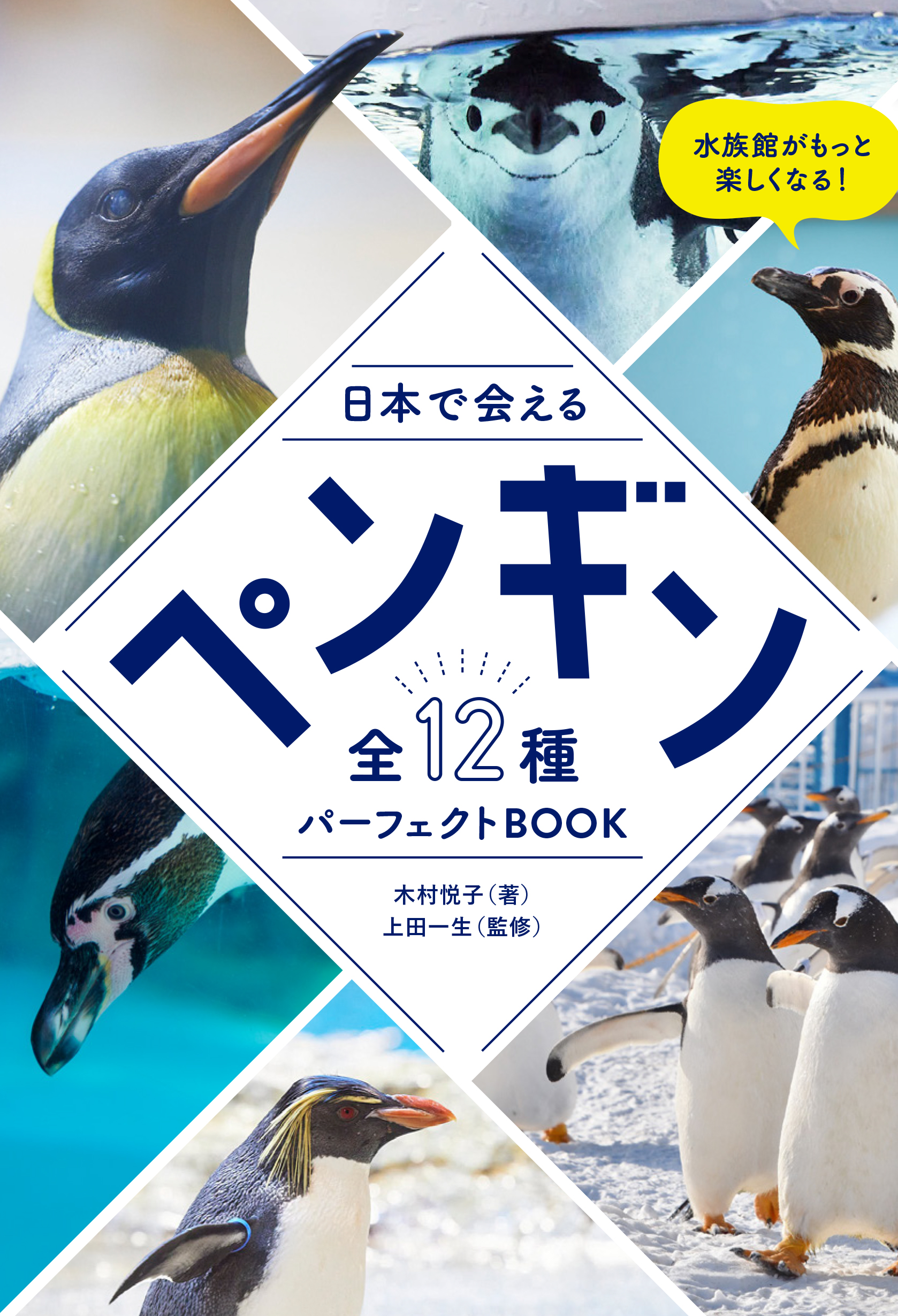 6月8日 グラフィック社から新しいペンギン本を出版‼️ | ペンギン大学