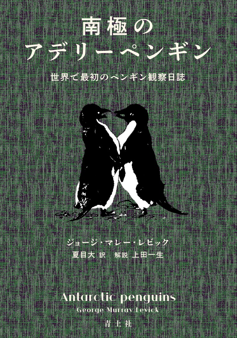 ペンギン大陸 全国どこでも送料無料 - その他