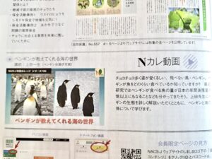 NACS-J Nカレ動画『ペンギンが教えてくれる海の世界』を会員限定公開
