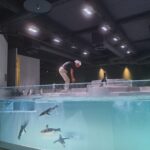 8月22日(火)AOAO SAPPORO 「WONDER PENGUIN MEETING:ホップを見てみよう!」開催