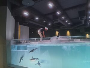 動物園・水族館ライターの木村悦子様から「AOAO の最新レポート」発表