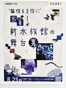 ８月25日(金)NHK北海道でAOAO SAPPORO が紹介されます‼️