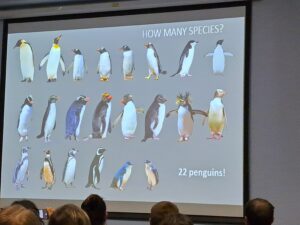 第11回国際ペンギン会議(IPC XI)報告　【その４】