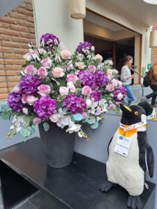 第11回国際ペンギン会議(IPC XI)報告　その２