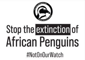 「世界中でケープペンギンを思う一週間」直前追加情報
