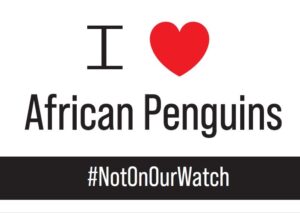 Two Oceans Aquarium  Judy Mann-Lang 博士からの「お礼の動画」