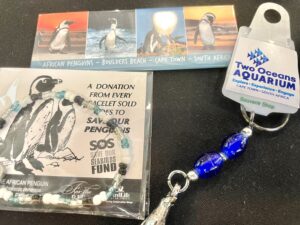 『世界中でケープペンギンを思う一週間』提唱者からのプレスリリース