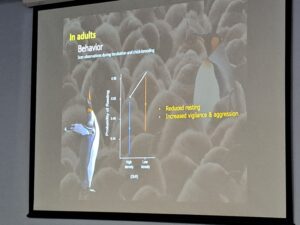 第11回国際ペンギン会議(IPC XI)報告【その５】