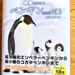 渡辺佑基先生監修『絶景に生きるペンギンたちの図鑑』中身の濃い本格的ペンギンブック