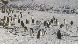 12月14日(木)早朝 J-WAVE TOKYO MORNING RADIO に生出演