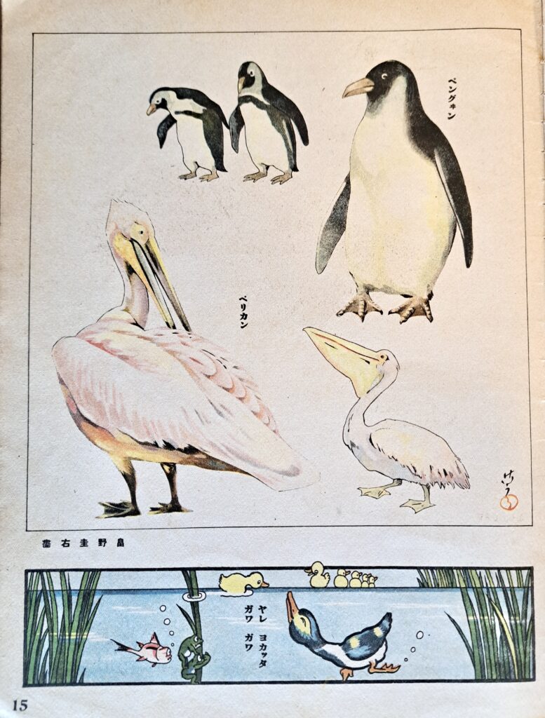 『ペンギンの絵』 （『観察絵本キンダーブック第十三輯第八編』・『トリ』より）