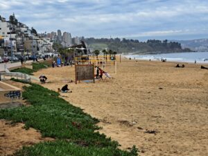 ２月上旬『チリでの大規模な山火事被害』についてご報告