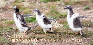 【告知】4/25(木)「世界ペンギンの日」オンラインミーティング2024