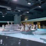 AOAO SAPPORO『第1回ペンギン絵画コンクール』の入賞者発表