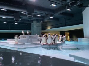 AOAO SAPPORO『第１回ペンギン絵画コンクール』の入賞者発表